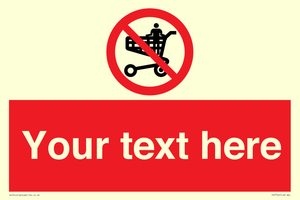 Custom prohibition no standing in trolley